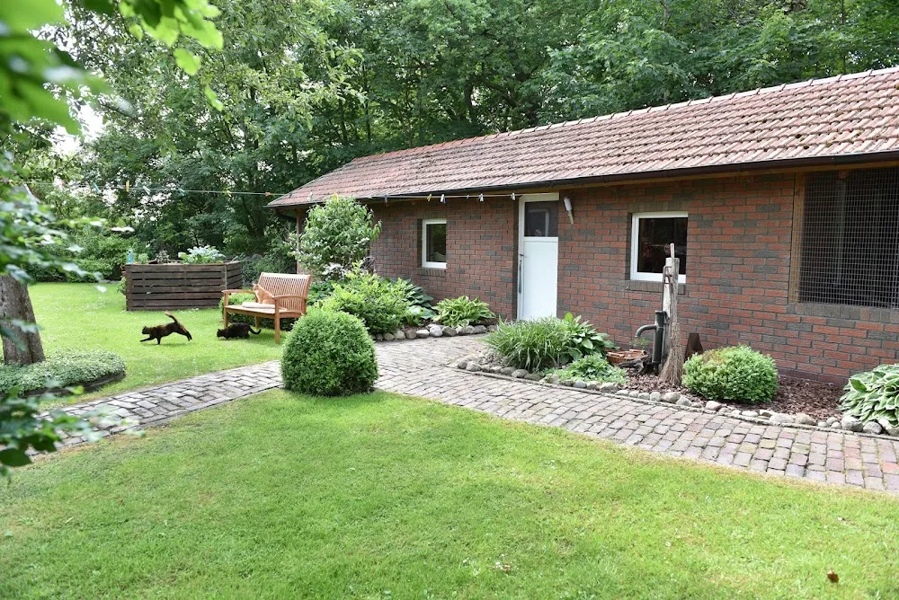 Katzenpension Ostfriesland - Hatten pet otel