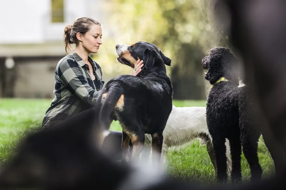 Hunde-Oase - Hattingen pet otel