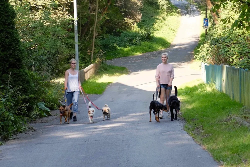 Hundefinca Hattingen - Hattingen pet otel