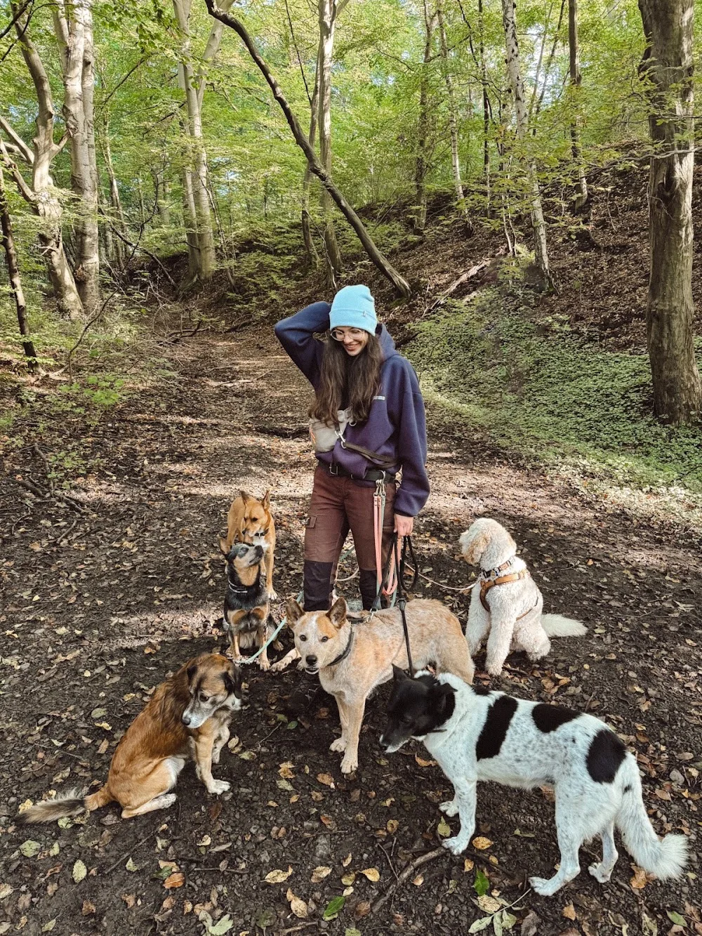 lena about dogs - Hundebetreuung, Maulkorbberatung & Hundetraining - Hattingen pet otel