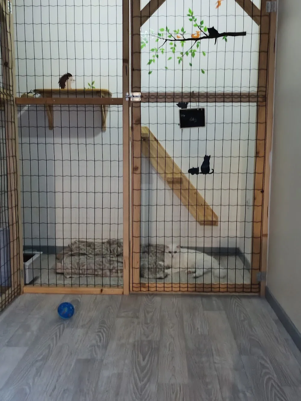 Aux Chats Paisibles - Haubourdin pet otel görseli 3