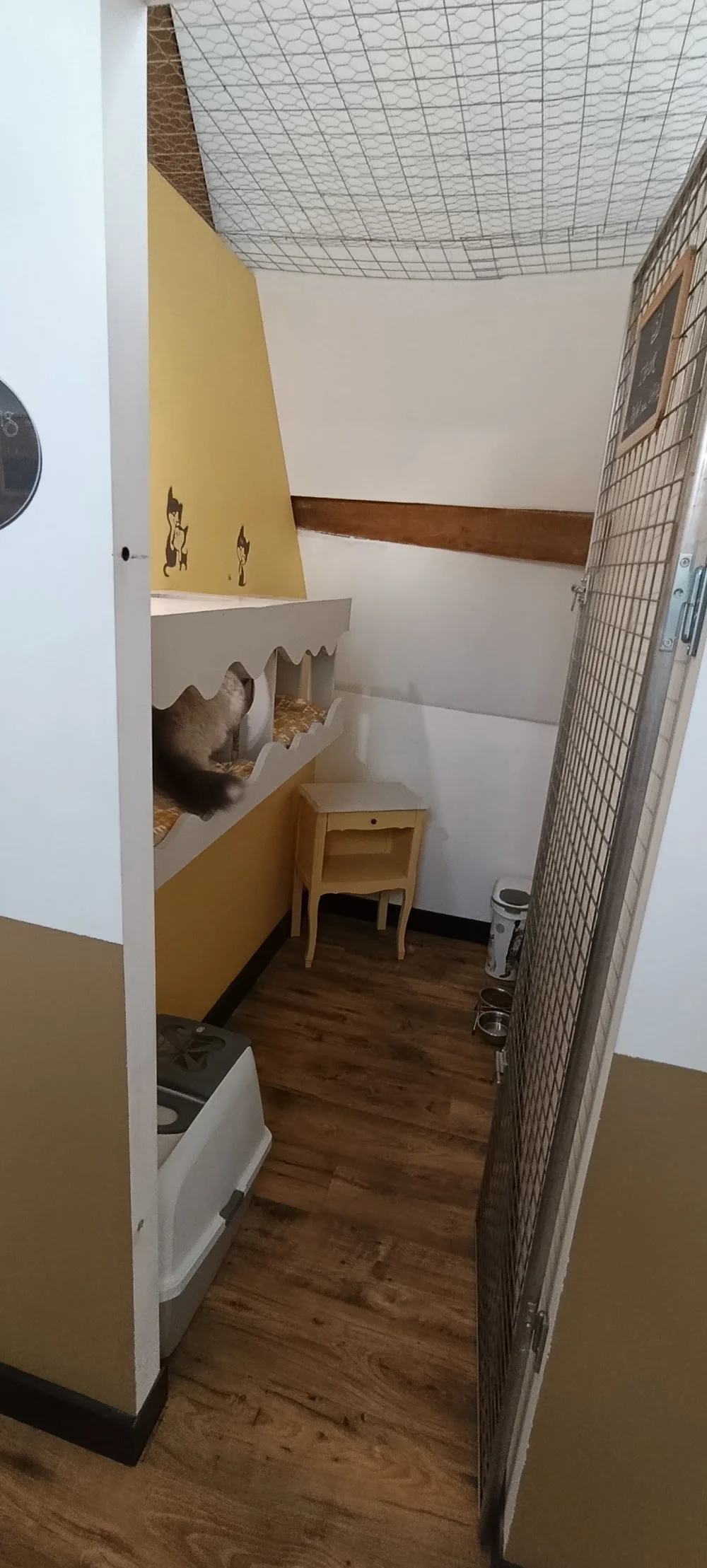 Cat Cocooning pension pour chats - Haubourdin pet otel görseli 3