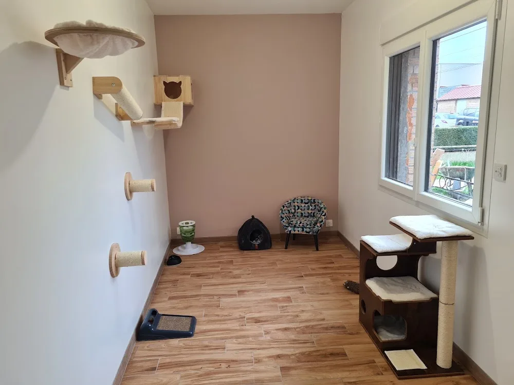La Chat'Bane - Haubourdin pet otel görseli 3