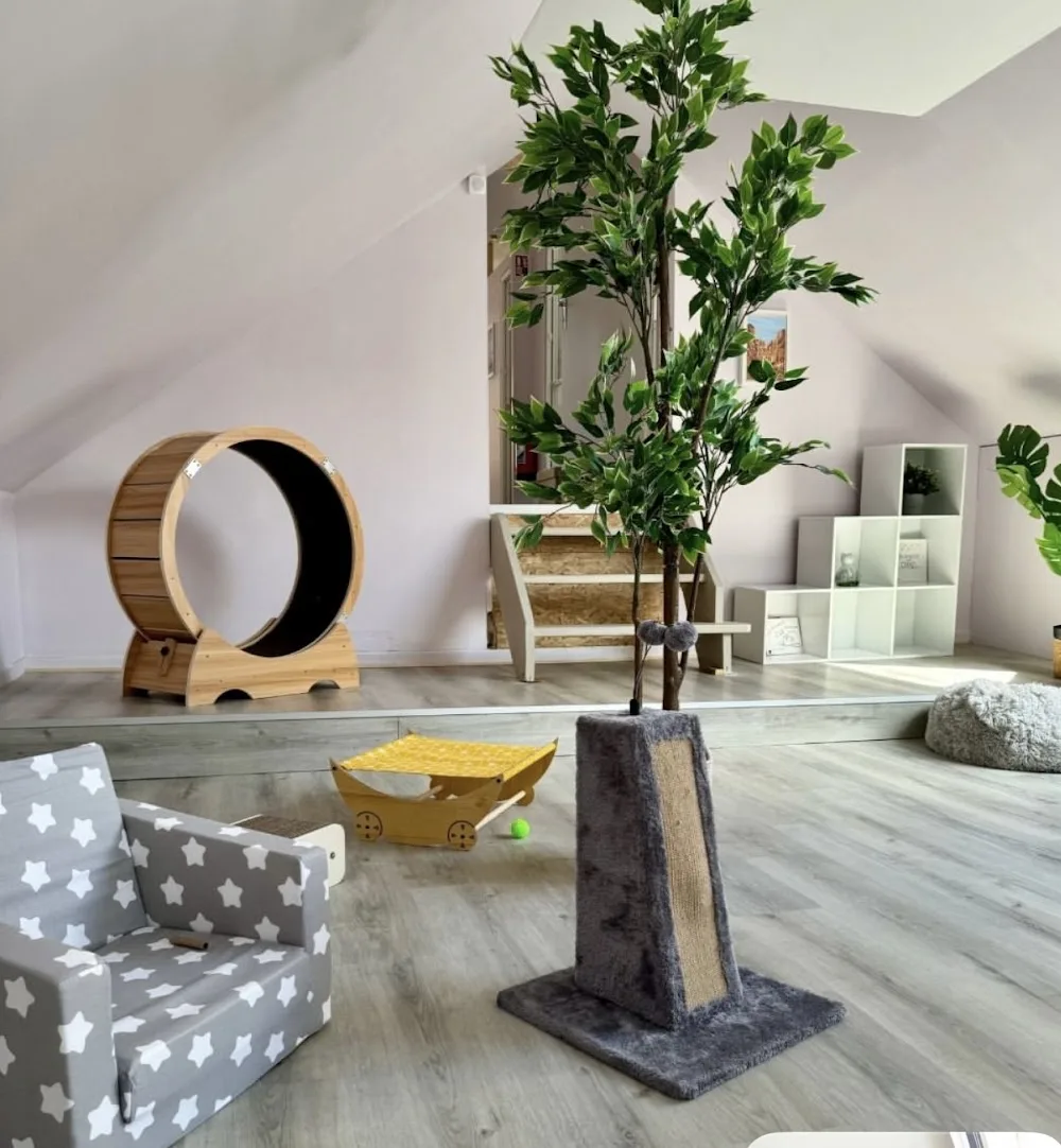 Le Palais du pacha - Haubourdin pet otel görseli 3