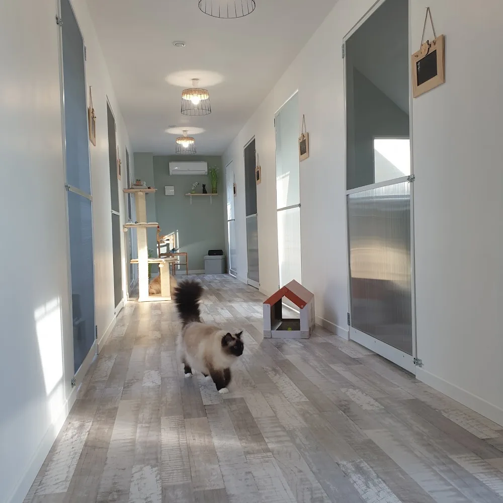Le Relais des Grosminets - Haubourdin pet otel görseli 3