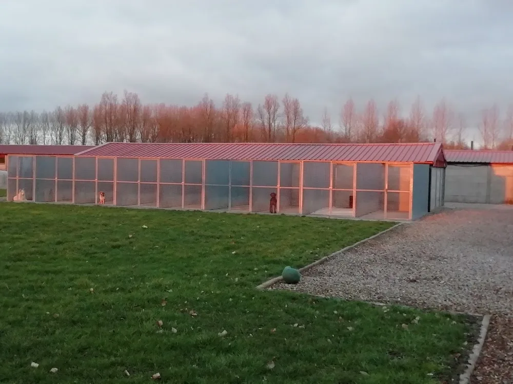 O'PRESTIGE - Haubourdin pet otel