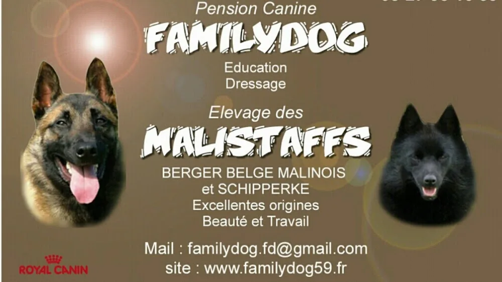 Pension Canine Familydog59 et Élevage de Bergers Belges Malinois - Haubourdin pet otel