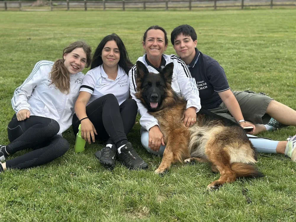 Domaine de Sanctae Crucis : Élevage de Berger Allemand et pension canine dans le Haut-Rhin en France - Haut-Rhin pet otel