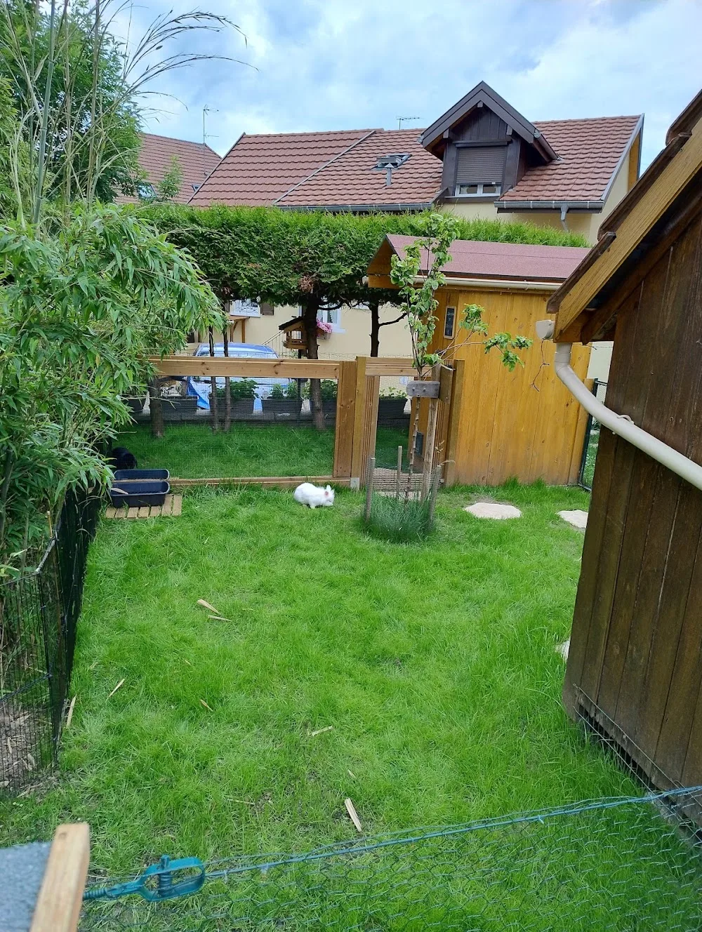 La pension de Osi & Co - Haut-Rhin pet otel görseli 3