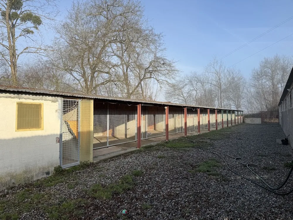 Pension canine - Haute-Garonne pet otel görseli 3