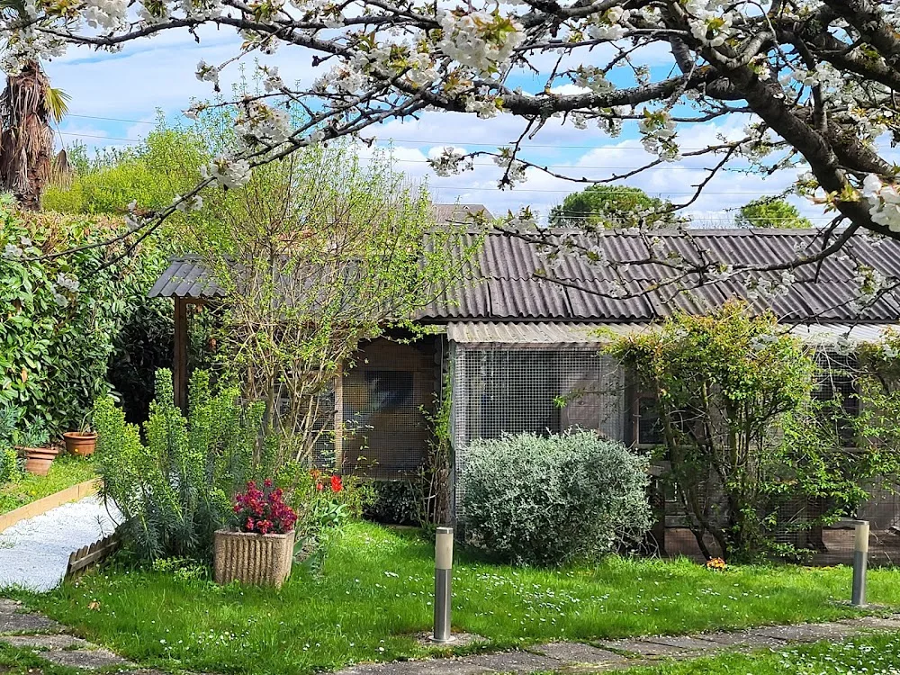 PENSION ENTRE CHATS Toulouse/Saint Orens - Haute-Garonne pet otel görseli 2