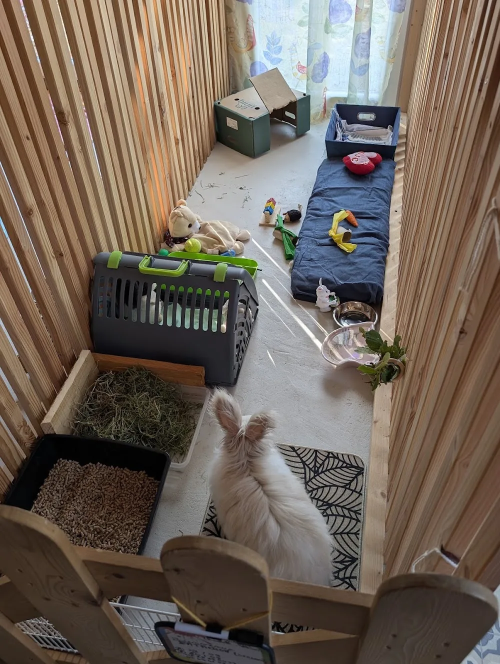Chat'caille - Haute-Loire pet otel