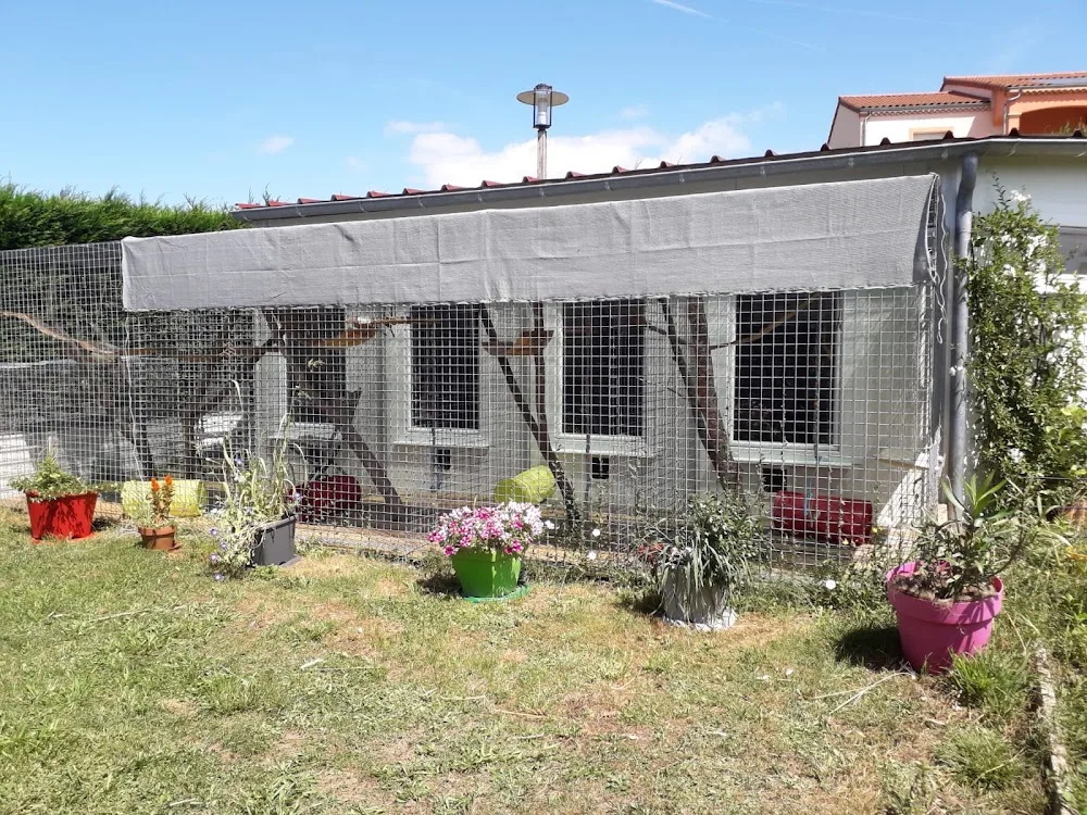 chats kool!! - Haute-Loire pet otel görseli 3