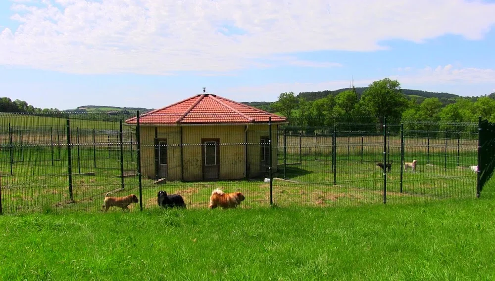 Pension du Menhir - Haute-Loire pet otel görseli 2
