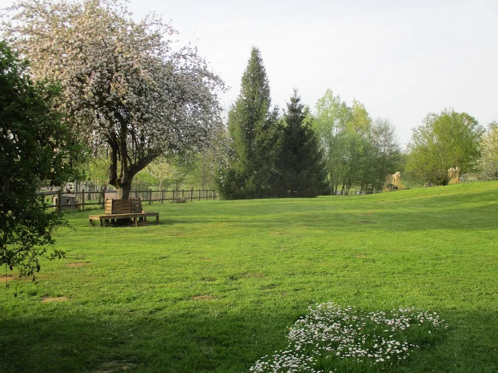 Chez Nath - Haute-Marne pet otel görseli 2