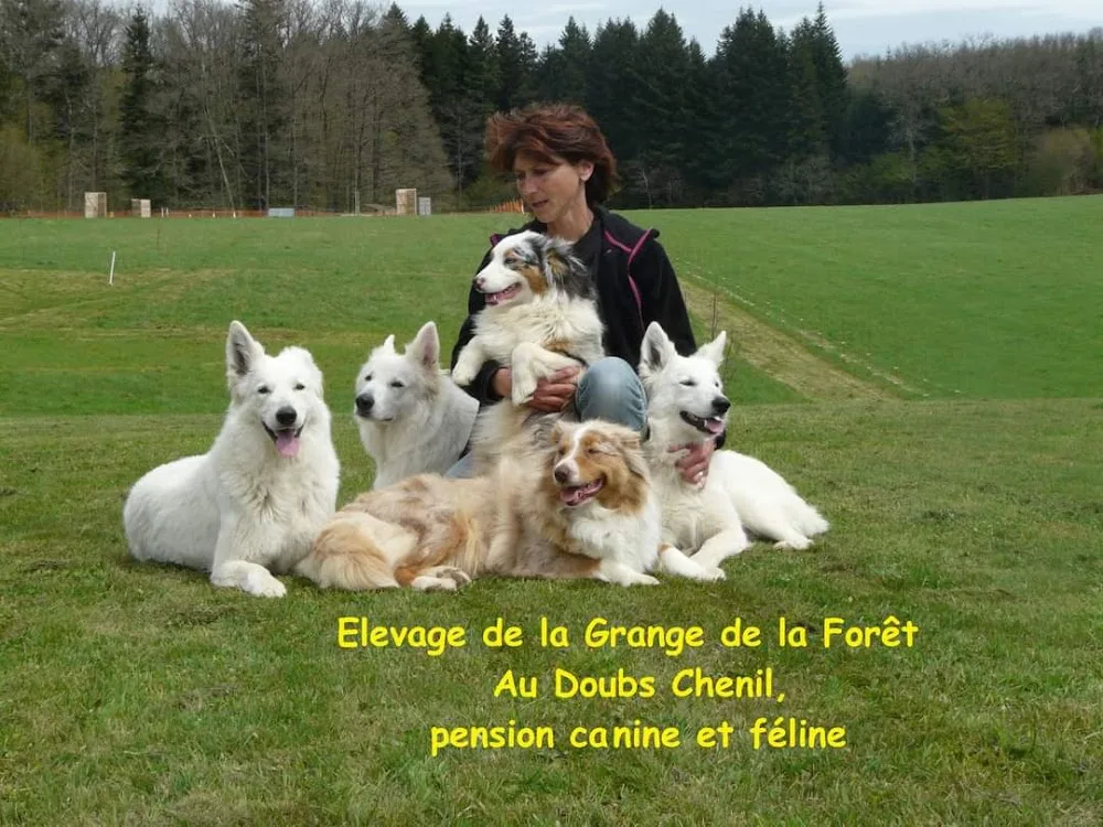 Au Doubs Chenil Pension Canine & Féline 25 - Haute-Saône pet otel