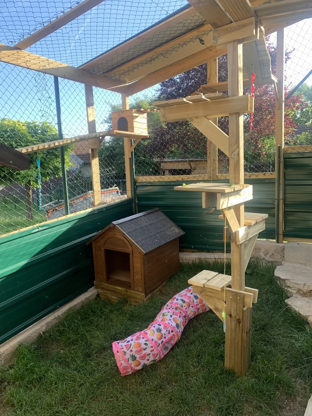 La garderie de Julie, pension féline, garderie pour chat, pension pour chat, pet-sitter - Haute-Saône pet otel