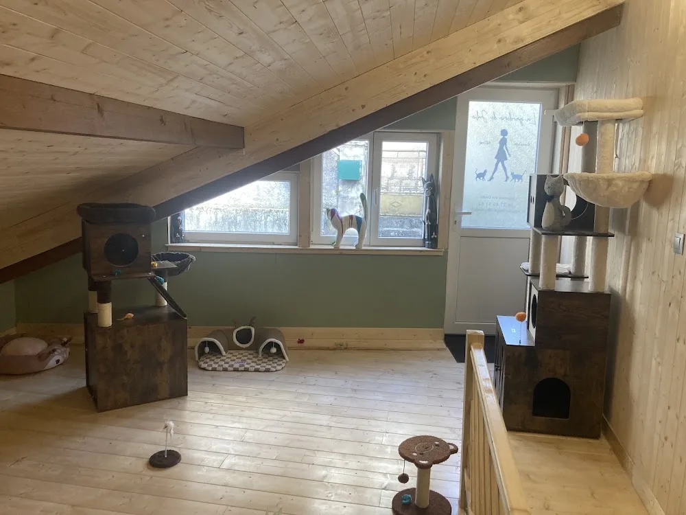 La garderie de Julie, pension féline, garderie pour chat, pension pour chat, pet-sitter - Haute-Saône pet otel görseli 3
