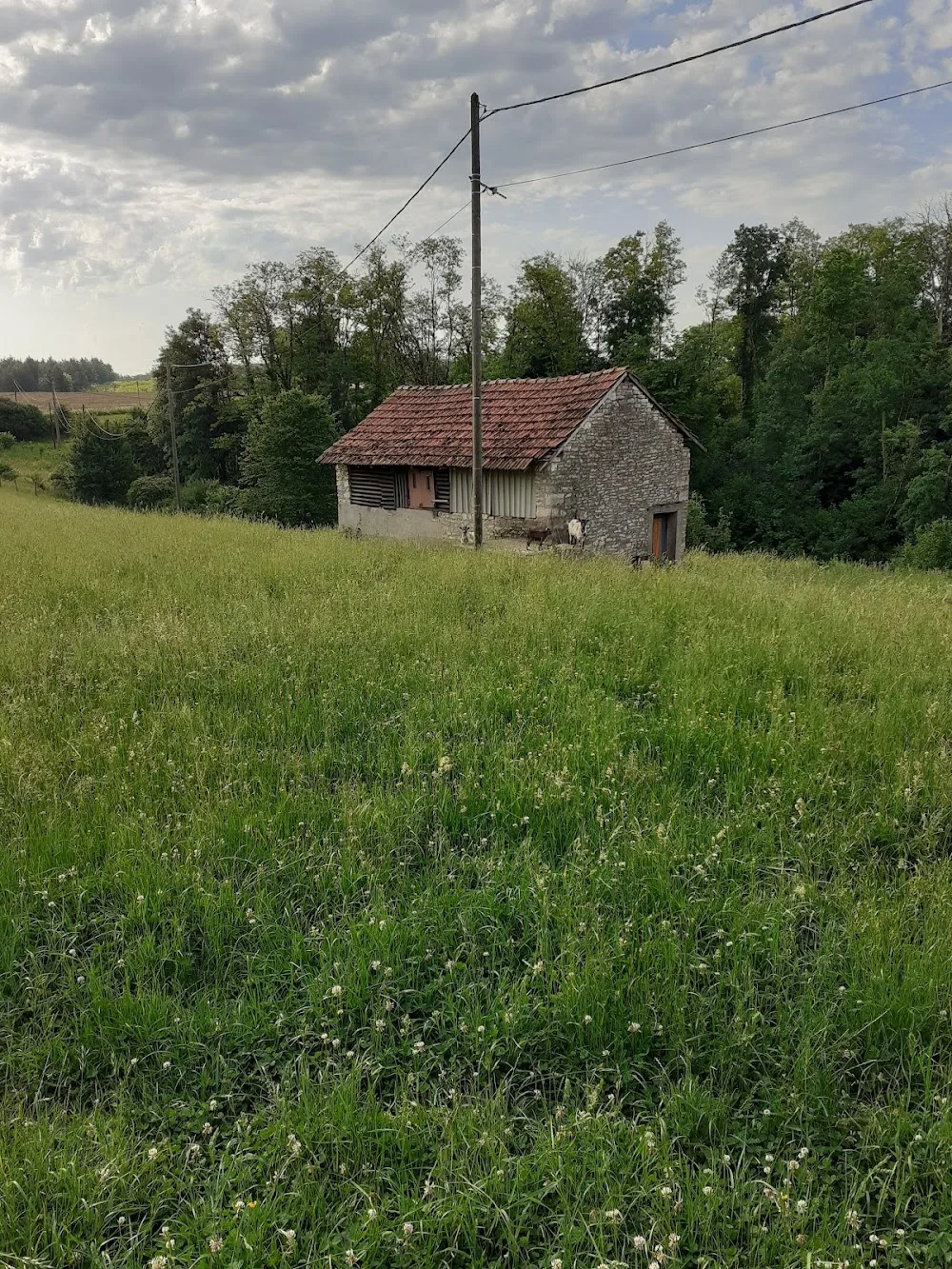 pension animaliere chien chat rongeur - Haute-Saône pet otel görseli 3
