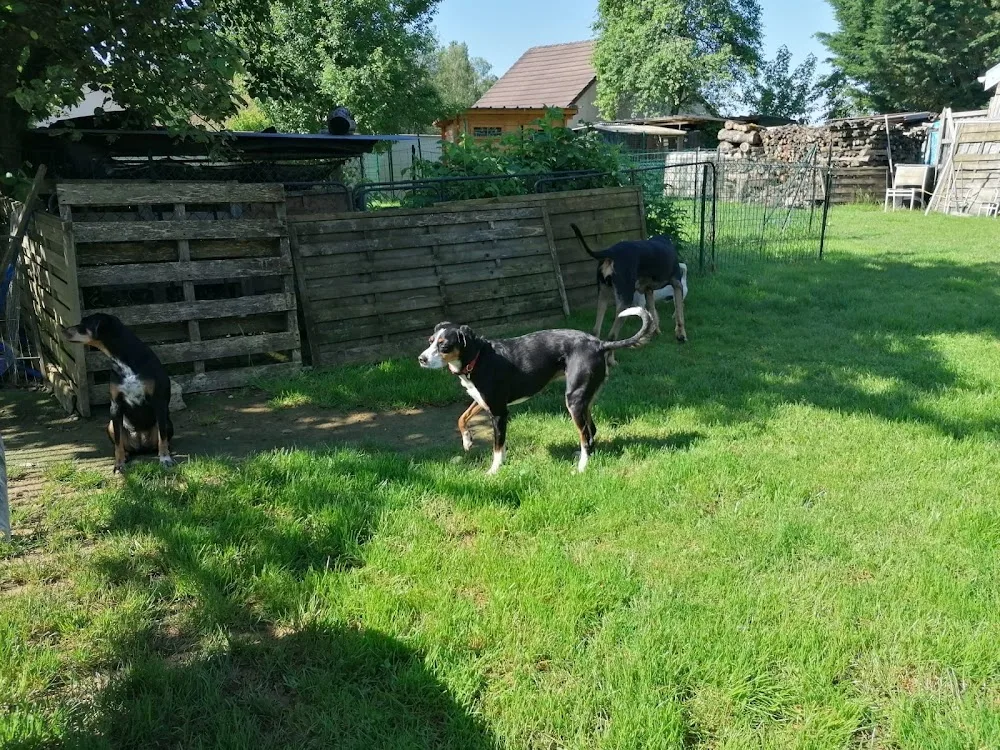 pension chien jura - Haute-Saône pet otel görseli 3