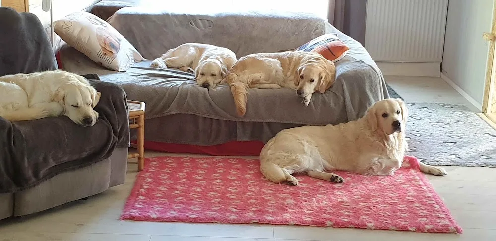 Sarl Ecot Logis - Haute-Saône pet otel görseli 3