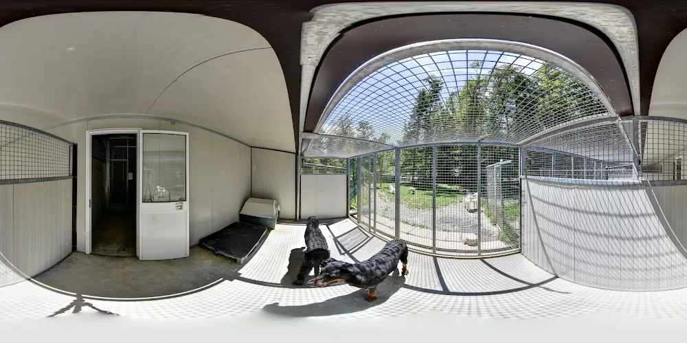 A.P.S Animaux Passions Services - Haute-Savoie pet otel görseli 3
