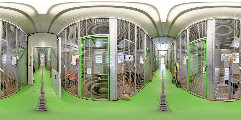 A.P.S Animaux Passions Services - Haute-Savoie pet otel görseli 4