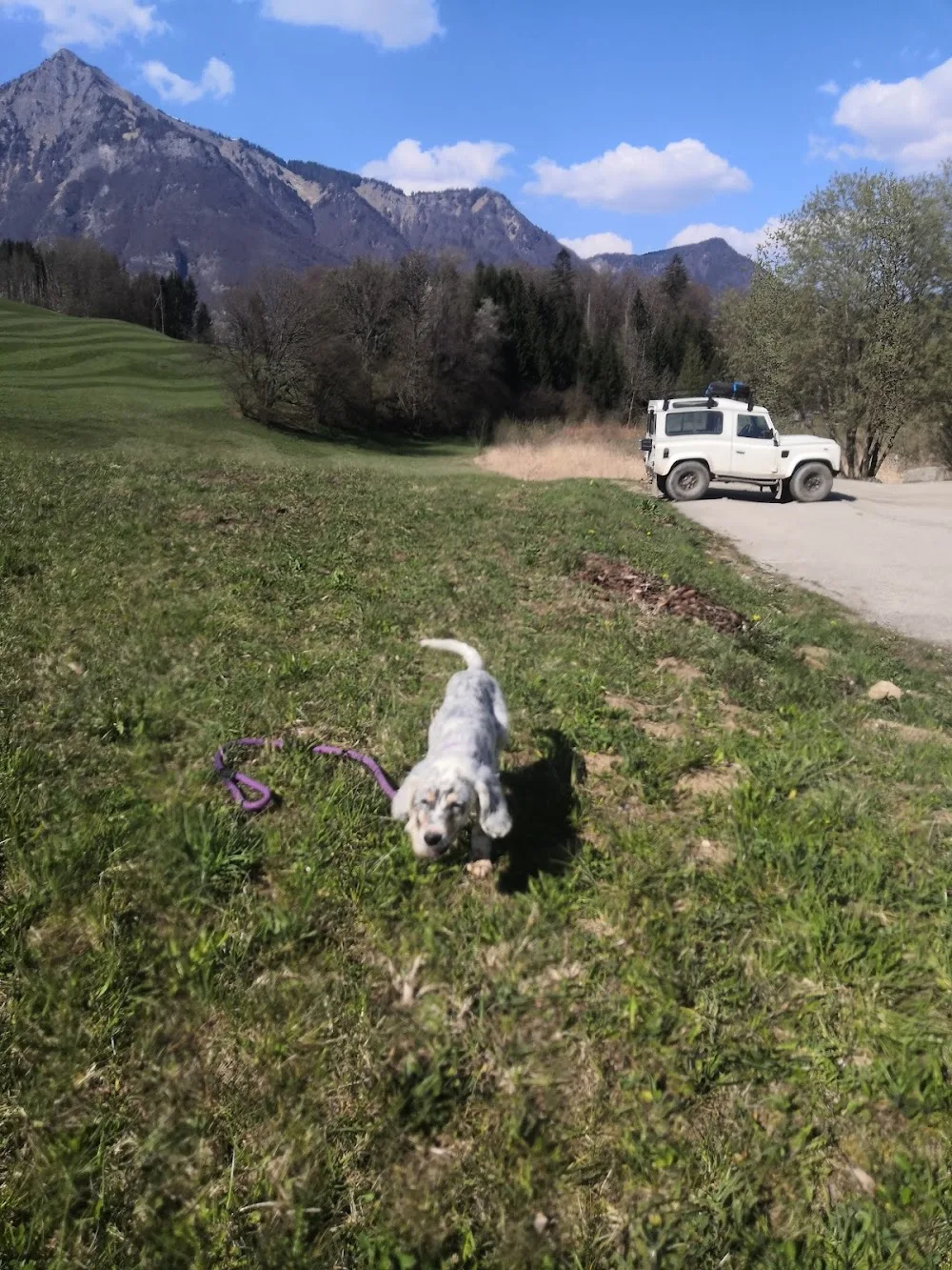 A.P.S Animaux Passions Services - Haute-Savoie pet otel görseli 5