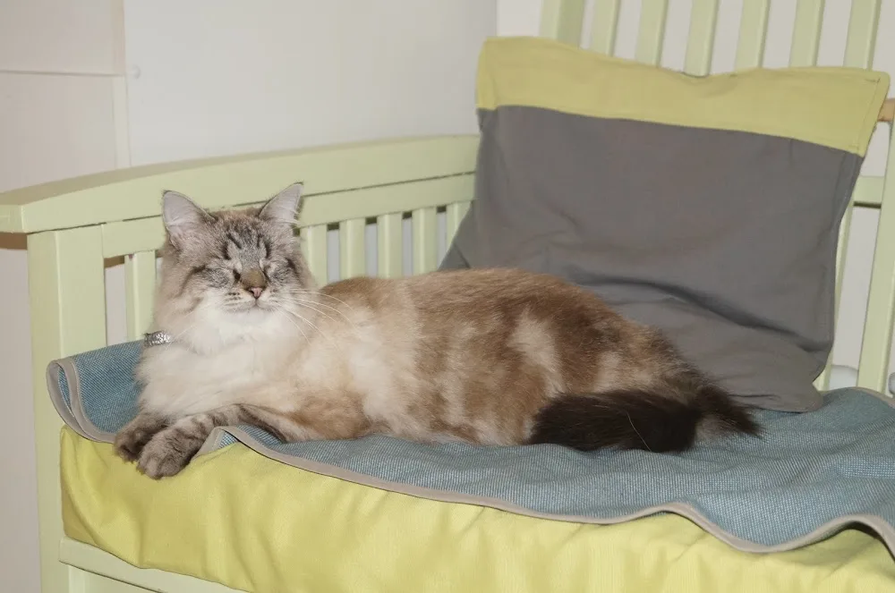 Au Chavoyard - Haute-Savoie pet otel