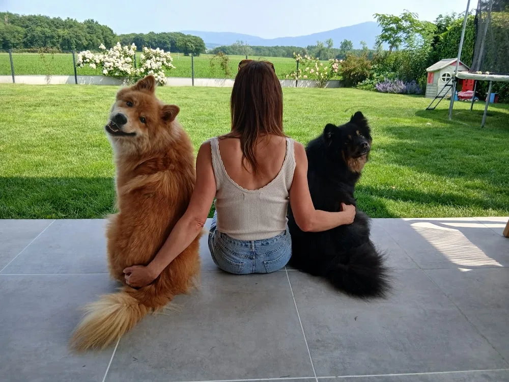 Cynoclan - Haute-Savoie pet otel