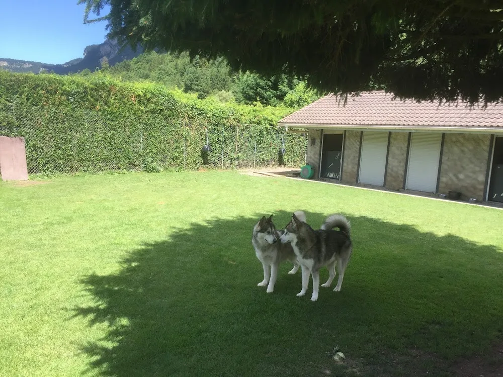 DOG CENTER les Millieres - Haute-Savoie pet otel görseli 3