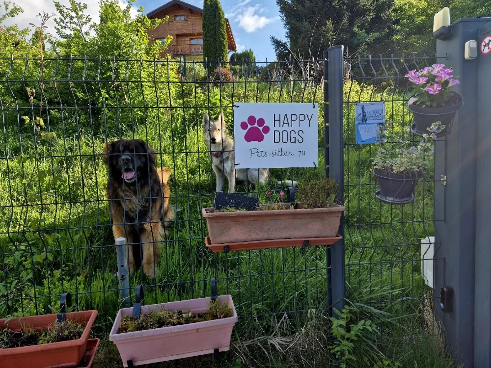 Happy Dog Pets-sitter - Haute-Savoie pet otel