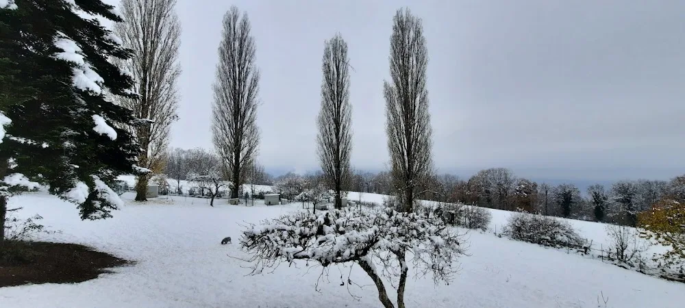 L'Eden Alpin - Haute-Savoie pet otel görseli 3