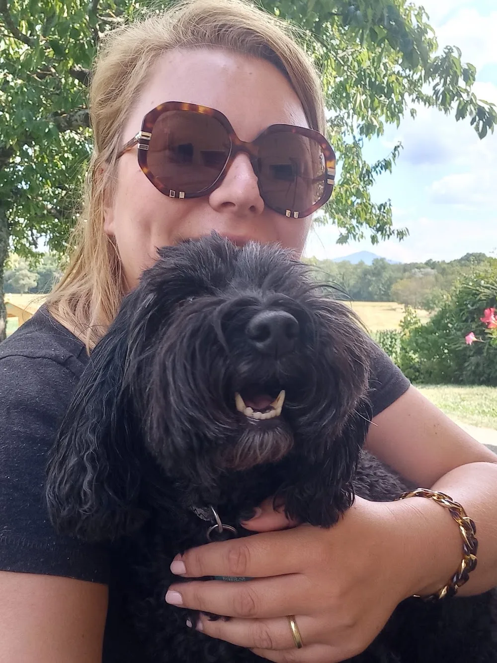Les amis d'Agathe, pension canine Yvoire - Haute-Savoie pet otel
