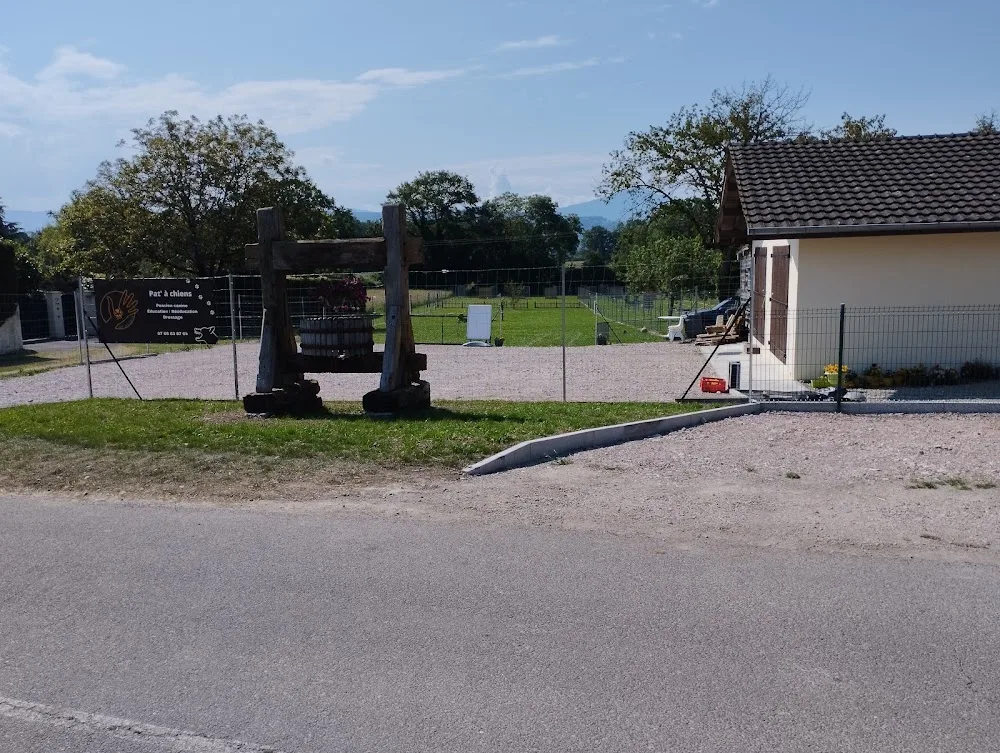 Pat’ à Chiens – Pension canine professionnelle en Haute-Savoie - Haute-Savoie pet otel görseli 3