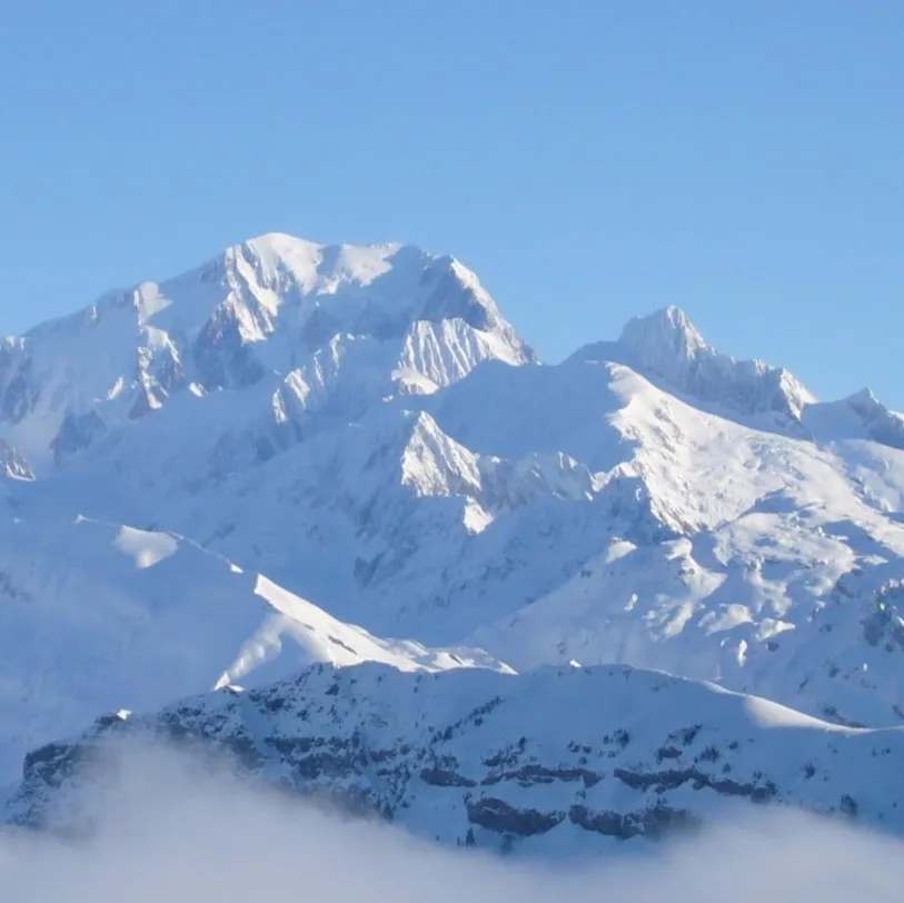 Serenity Animals 74 – Pet Sitting, Balades Canines & Pension Féline - Haute-Savoie pet otel görseli 5