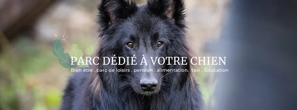 Univers chien - Haute-Savoie pet otel