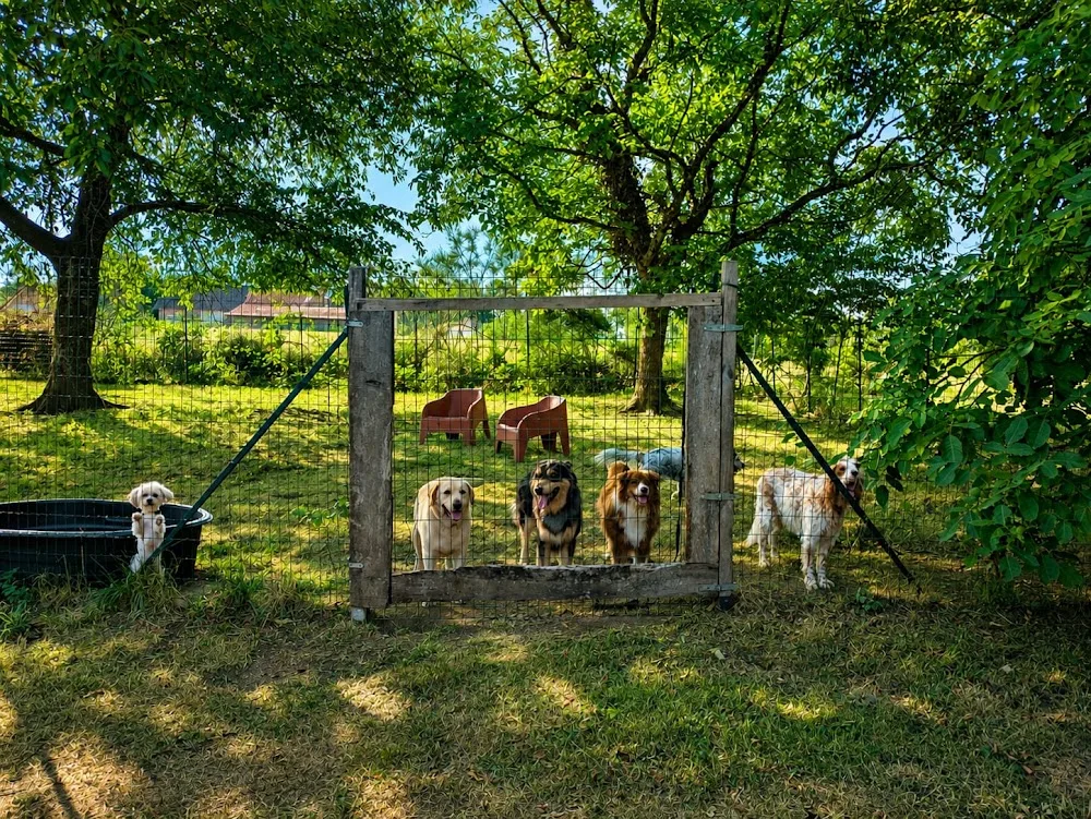 Centre Canin Arédien - Haute-Vienne pet otel görseli 3