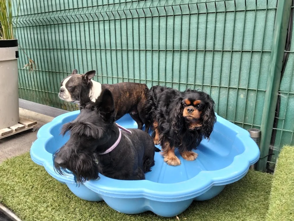 DETENTE DOG 87 - Haute-Vienne pet otel