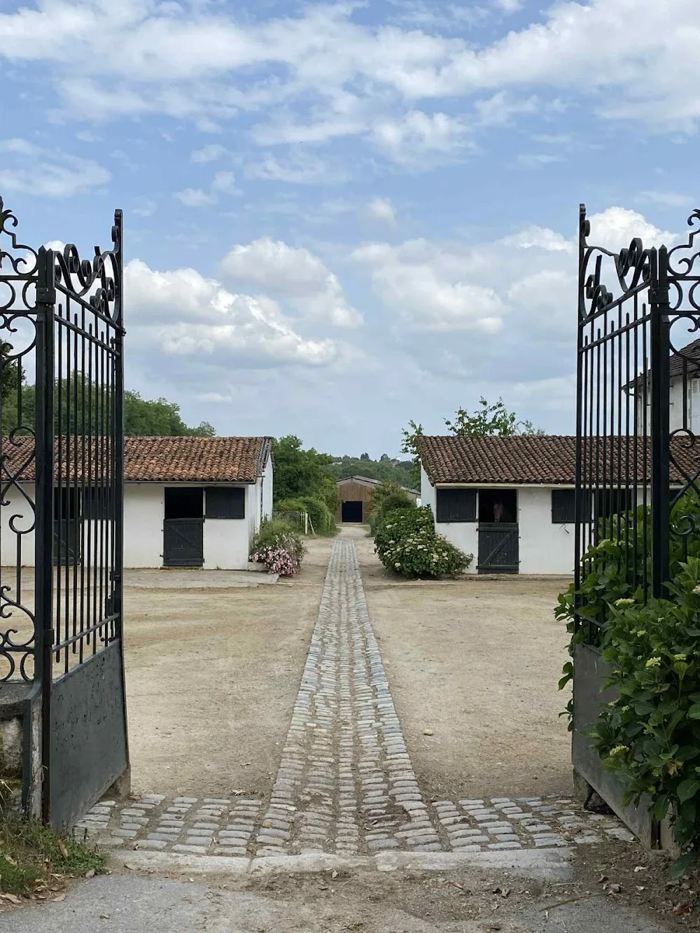 Elevage De Texonnieras ( Pension Équestre et Écurie de propriétaires) - Haute-Vienne pet otel