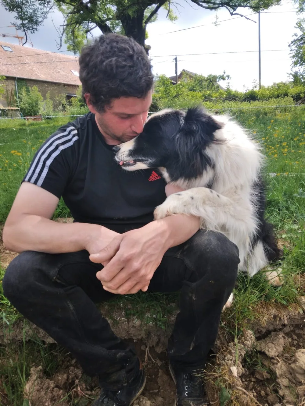 Les chenils de Leycuras - Haute-Vienne pet otel görseli 3