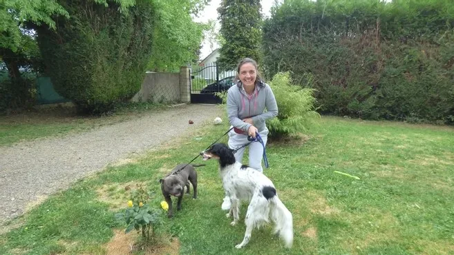 les pattounes de chaptelat - Haute-Vienne pet otel görseli 2