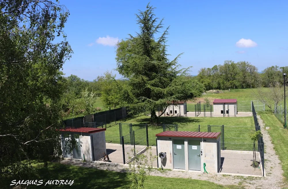Pension Du Biker à 4 Pattes - Haute-Vienne pet otel