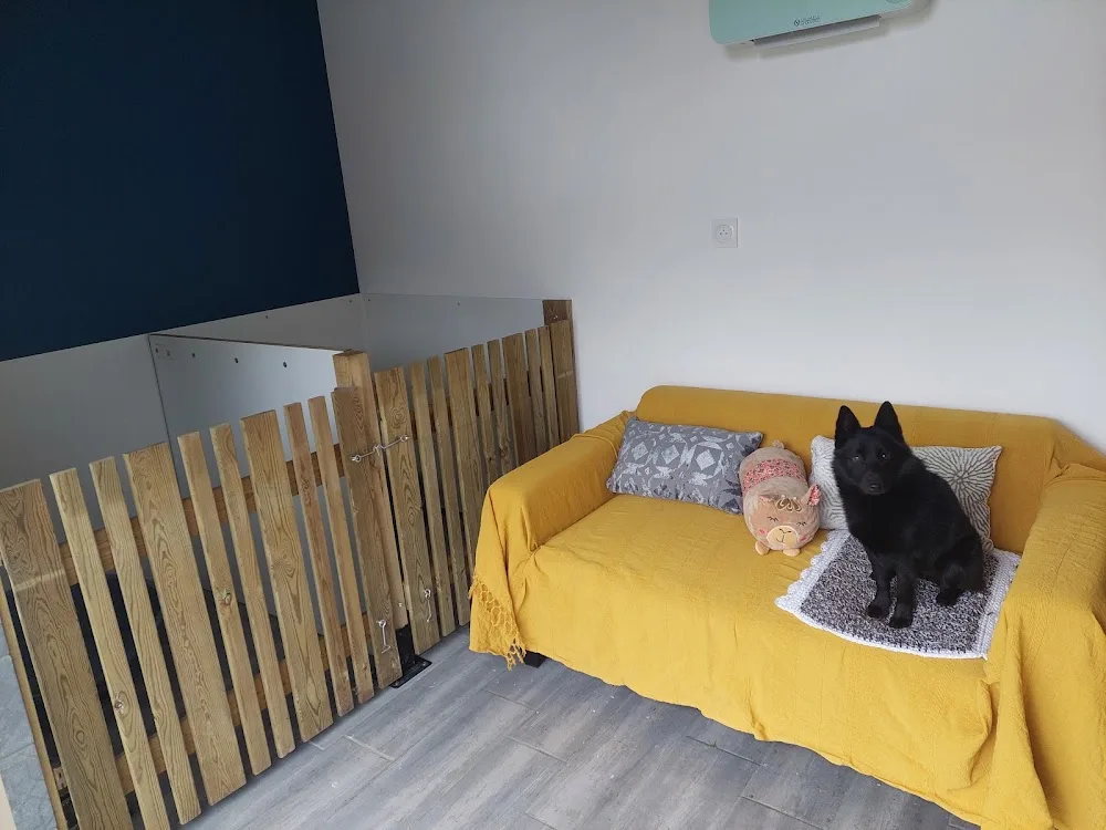 Toutou et Grosminet - Haute-Vienne pet otel