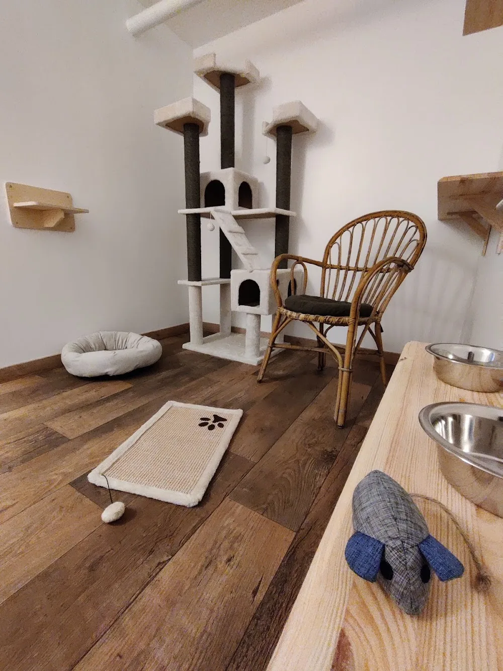 Pension Féline des Alpes - Hautes-Alpes pet otel görseli 3