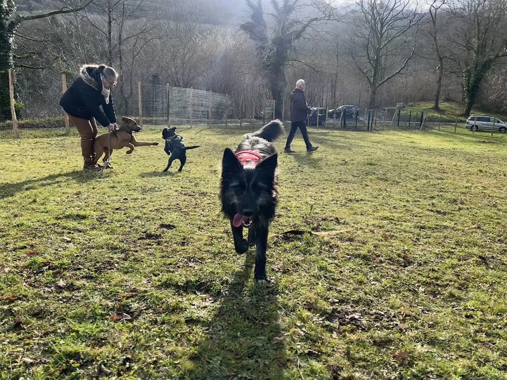 Caniprairie – Parc et centre de loisirs pour chiens - Hautes-Pyrénées pet otel görseli 3