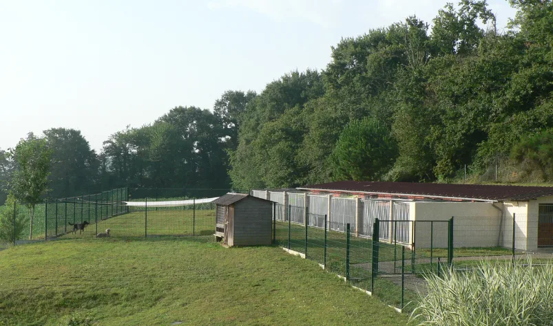 Pension canine Los Pelluts - Hautes-Pyrénées pet otel