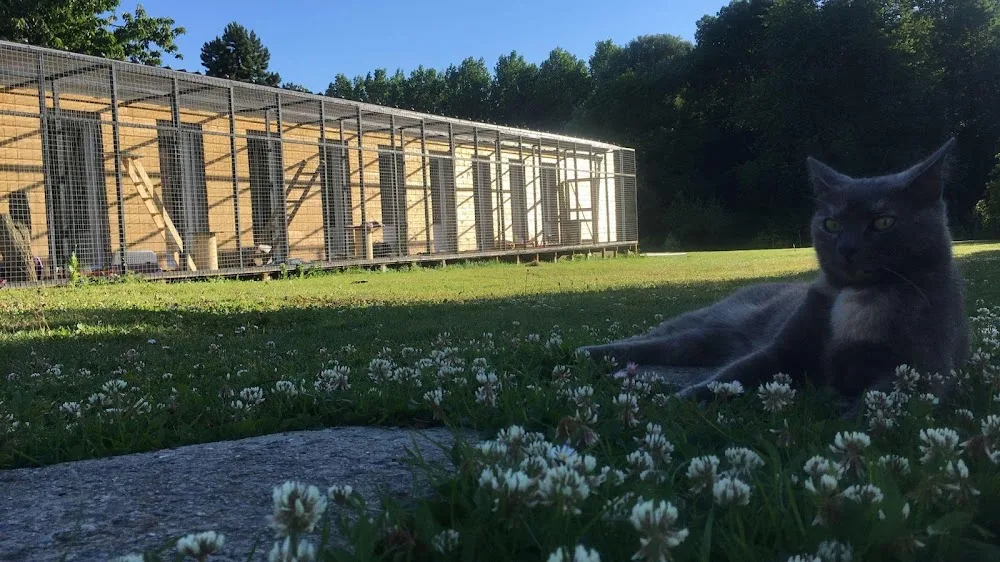 Le Domaine des Minoux - Hauts-de-France pet otel