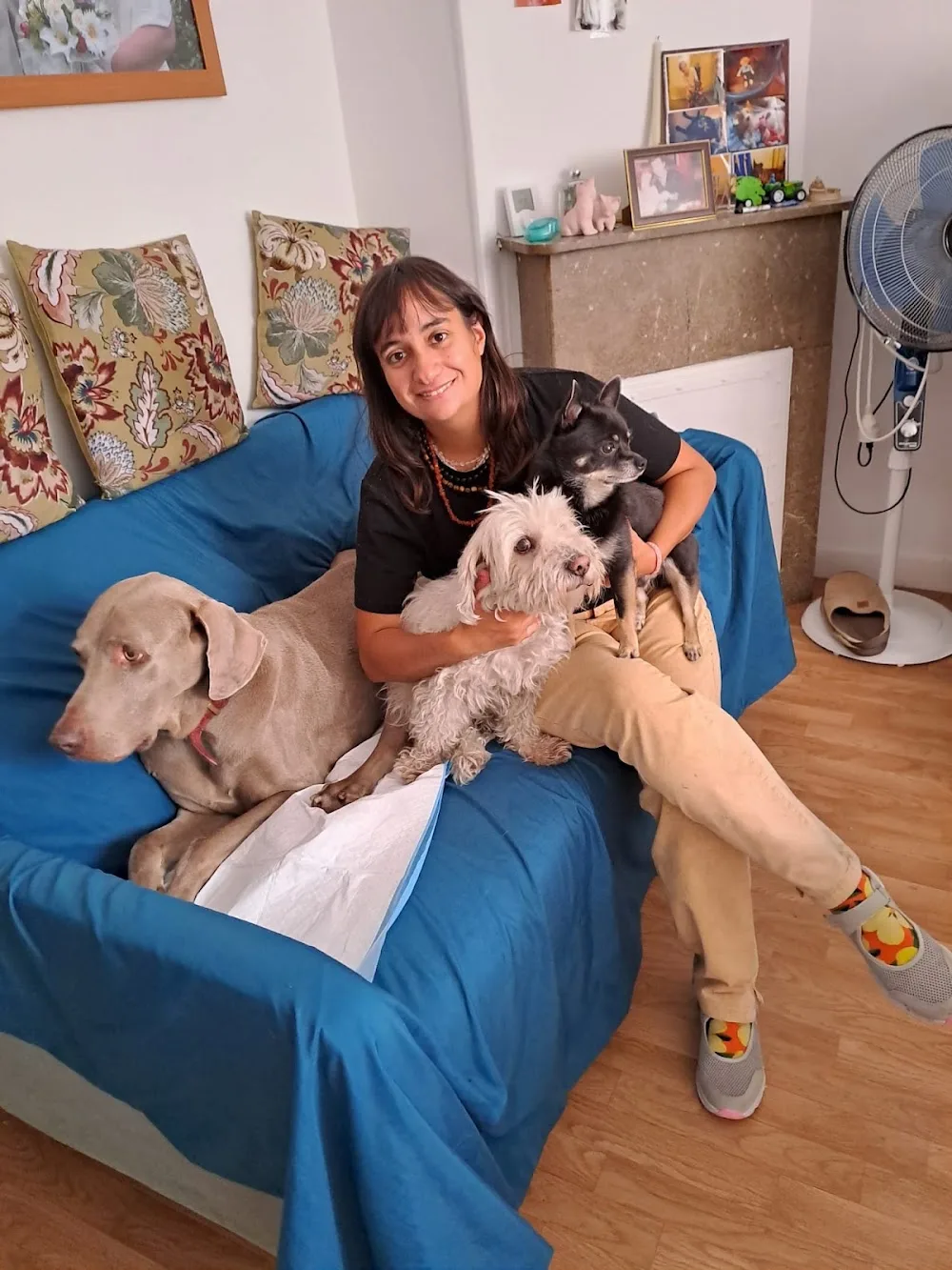 Angélique Mathieu-Tanguy - Garde de chiens - Hauts-de-Seine pet otel görseli 3