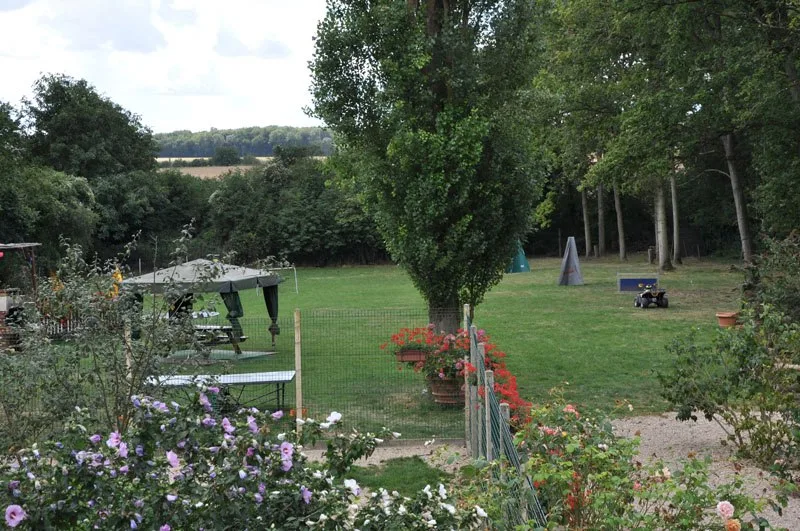 Canicat services, pension chats et chiens - Hauts-de-Seine pet otel